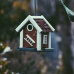 closeup photo of red and white bird house